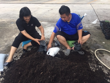 ไฟล์แนบ กปภ.สาขาสมุทรสงคราม ร่วมปลูกต้นดาวเรือง ถวายเป็นราชสักการะเนื่องในพระราชพิธีถวายพระเพลิงพระบรมศพพระบาทสมเด็จพระปรมินทรมหาภูมิพลอดุลยเดช 