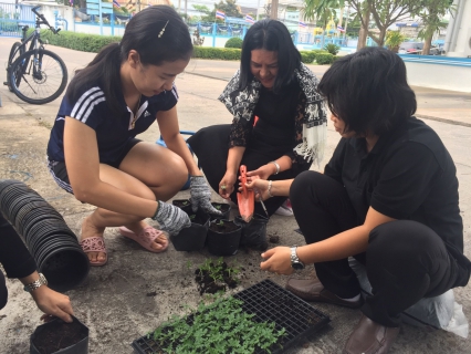 ไฟล์แนบ กปภ.สาขาสมุทรสงคราม ร่วมปลูกต้นดาวเรือง ถวายเป็นราชสักการะเนื่องในพระราชพิธีถวายพระเพลิงพระบรมศพพระบาทสมเด็จพระปรมินทรมหาภูมิพลอดุลยเดช 