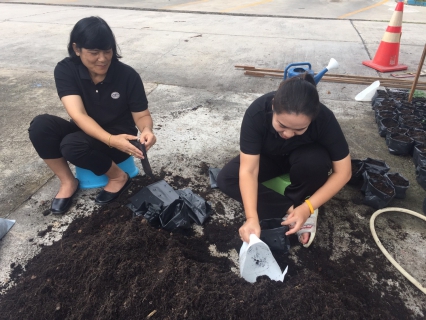 ไฟล์แนบ กปภ.สาขาสมุทรสงคราม ร่วมปลูกต้นดาวเรือง ถวายเป็นราชสักการะเนื่องในพระราชพิธีถวายพระเพลิงพระบรมศพพระบาทสมเด็จพระปรมินทรมหาภูมิพลอดุลยเดช 