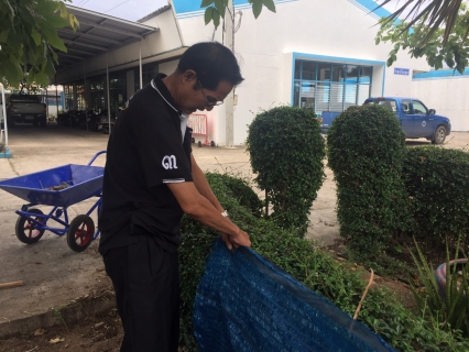 ไฟล์แนบ กปภ.สาขาสมุทรสงคราม ร่วมปลูกต้นดาวเรือง ถวายเป็นราชสักการะเนื่องในพระราชพิธีถวายพระเพลิงพระบรมศพพระบาทสมเด็จพระปรมินทรมหาภูมิพลอดุลยเดช 