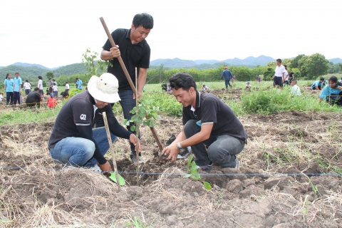 ไฟล์แนบ "ประชารัฐร่วมใจ ปลูกป่าเฉลิมพระเกียรติฯ ในพื้นที่ลุ่มน้ำสาขาแควใหญ่ตอนล่าง" 