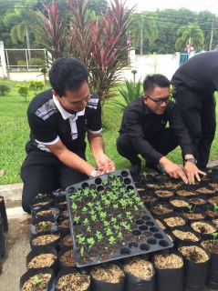ไฟล์แนบ กปภ.สาขาสะเดาร่วมปลูกดาวเรืองจำนวน 999 ต้น ซึ่งเป็นสีประจำวันพระราชสมภพ พระบาทสมเด็จพระปรมินทรมหาภูมิพลอดุลยเดช เพื่อให้บานสะพรั่งทั่วประเทศในช่วงพระราชพิธีถวายพระเพลิงพระบรมศพวันที่ 25-29 ตุลาคม 2560