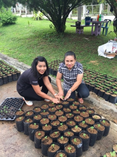 ไฟล์แนบ กปภ.สาขาสะเดาร่วมปลูกดาวเรืองจำนวน 999 ต้น ซึ่งเป็นสีประจำวันพระราชสมภพ พระบาทสมเด็จพระปรมินทรมหาภูมิพลอดุลยเดช เพื่อให้บานสะพรั่งทั่วประเทศในช่วงพระราชพิธีถวายพระเพลิงพระบรมศพวันที่ 25-29 ตุลาคม 2560