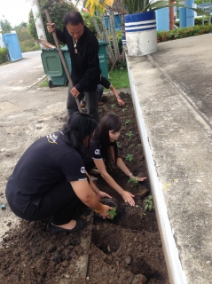ไฟล์แนบ กปภ.สาขาสามพราน ร่วมกันจัดกิจกรรมปลูกดาวเรือง เพื่อน้อมถวายเป็นพระราชกุศล แสดงออกถึงความจงรักภักดี และรำลึกในพระมหากรุณาธิคุณของพระบาทสมเด็จพระปรมินทรมหาภูมิพลอดุลยเดช