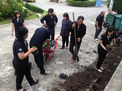 ไฟล์แนบ กปภ.สาขาสามพราน ร่วมกันจัดกิจกรรมปลูกดาวเรือง เพื่อน้อมถวายเป็นพระราชกุศล แสดงออกถึงความจงรักภักดี และรำลึกในพระมหากรุณาธิคุณของพระบาทสมเด็จพระปรมินทรมหาภูมิพลอดุลยเดช