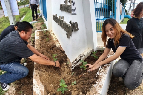 ไฟล์แนบ ร่วมใจปลูกดอกดาวเรือง เพื่อแสดงความจงรักภักดีและรำลึกในพระมหากรุณาธิคุณอย่างหาที่สุดมิได้