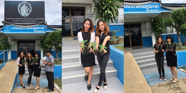 ไฟล์แนบ ร่วมใจปลูกดอกดาวเรือง เพื่อแสดงความจงรักภักดีและรำลึกในพระมหากรุณาธิคุณอย่างหาที่สุดมิได้