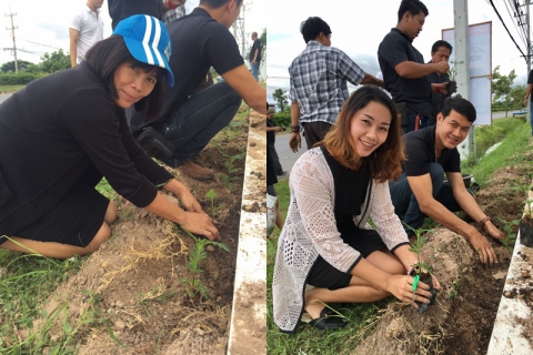 ไฟล์แนบ ร่วมใจปลูกดอกดาวเรือง เพื่อแสดงความจงรักภักดีและรำลึกในพระมหากรุณาธิคุณอย่างหาที่สุดมิได้