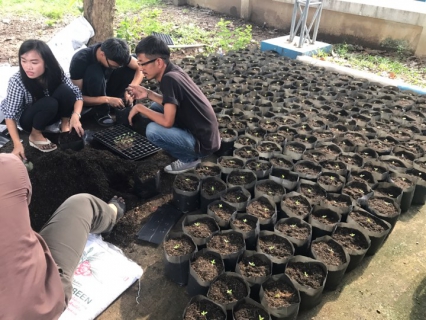ไฟล์แนบ กปภ.สาขาคลองหลวง ร่วมกันจัดกิจกรรมปลูกดาวเรือง เพื่อน้อมถวายเป็นพระราชกุศล แสดงออกถึงความจงรักภักดี และรำลึกในพระมหากรุณาธิคุณของพระบาทสมเด็จพระปรมินทรมหาภูมิพลอดุลยเดช 