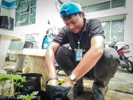 ไฟล์แนบ จากเมล็ดพันธุ์ สู่ต้นกล้าหนึ่ง ๑,๕๐๐ ต้น "ดาวเรืองเพื่อพ่อ"