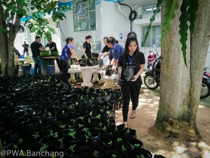 ไฟล์แนบ จากเมล็ดพันธุ์ สู่ต้นกล้าหนึ่ง ๑,๕๐๐ ต้น "ดาวเรืองเพื่อพ่อ"