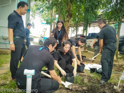 ไฟล์แนบ จากเมล็ดพันธุ์ สู่ต้นกล้าหนึ่ง ๑,๕๐๐ ต้น "ดาวเรืองเพื่อพ่อ"