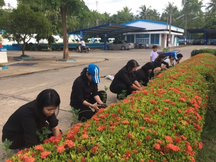 ไฟล์แนบ กปภ.สาขาสมุทรสงคราม ร่วมปลูกต้นดาวเรือง ถวายเป็นราชสักการะเนื่องในพระราชพิธีถวายพระเพลิงพระบรมศพพระบาทสมเด็จพระปรมินทรมหาภูมิพลอดุลยเดช 