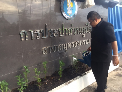 ไฟล์แนบ กปภ.สาขาสมุทรสงคราม ร่วมปลูกต้นดาวเรือง ถวายเป็นราชสักการะเนื่องในพระราชพิธีถวายพระเพลิงพระบรมศพพระบาทสมเด็จพระปรมินทรมหาภูมิพลอดุลยเดช 
