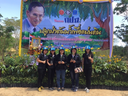 ไฟล์แนบ กปภ.สาขาสมุทรสงคราม เข้าร่วมโครงการ กปภ.ปลูกป่าต้นน้ำเพื่อแผ่นดินเทิดพระเกียรติพระบาทสมเด็จพระปรมินทรมหาภูมิพลอดุลยเดช (Father