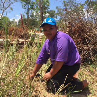 ไฟล์แนบ กปภ.สาขาสมุทรสงคราม เข้าร่วมโครงการ กปภ.ปลูกป่าต้นน้ำเพื่อแผ่นดินเทิดพระเกียรติพระบาทสมเด็จพระปรมินทรมหาภูมิพลอดุลยเดช (Father