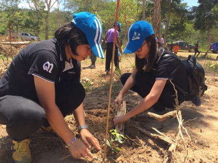 ไฟล์แนบ กปภ.สาขาสมุทรสงคราม เข้าร่วมโครงการ กปภ.ปลูกป่าต้นน้ำเพื่อแผ่นดินเทิดพระเกียรติพระบาทสมเด็จพระปรมินทรมหาภูมิพลอดุลยเดช (Father