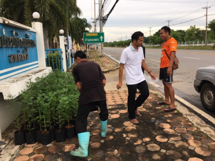 ไฟล์แนบ กปภ.สาขาด่านช้างร่วมกันจัดหาต้นดาวเรืองร่วมงานพระราชพิธีถวาย พระเพลิงพระบรมศพฯ