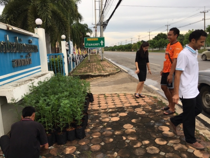 ไฟล์แนบ กปภ.สาขาด่านช้างร่วมกันจัดหาต้นดาวเรืองร่วมงานพระราชพิธีถวาย พระเพลิงพระบรมศพฯ