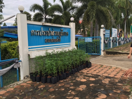 ไฟล์แนบ กปภ.สาขาด่านช้างร่วมกันจัดหาต้นดาวเรืองร่วมงานพระราชพิธีถวาย พระเพลิงพระบรมศพฯ