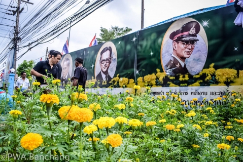 ไฟล์แนบ สาขาบ้านฉาง ประดับดาวเรืองถวายความอาลัย ครบรอบวันสวรรคต