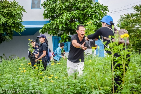 ไฟล์แนบ สาขาบ้านฉาง ประดับดาวเรืองถวายความอาลัย ครบรอบวันสวรรคต