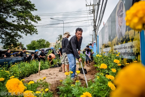 ไฟล์แนบ สาขาบ้านฉาง ประดับดาวเรืองถวายความอาลัย ครบรอบวันสวรรคต