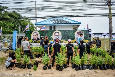 ไฟล์แนบ สาขาบ้านฉาง ประดับดาวเรืองถวายความอาลัย ครบรอบวันสวรรคต