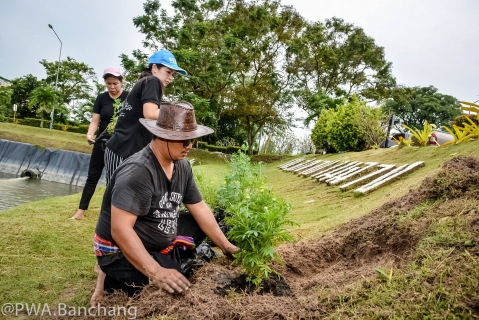ไฟล์แนบ สาขาบ้านฉาง ประดับดาวเรืองถวายความอาลัย ครบรอบวันสวรรคต