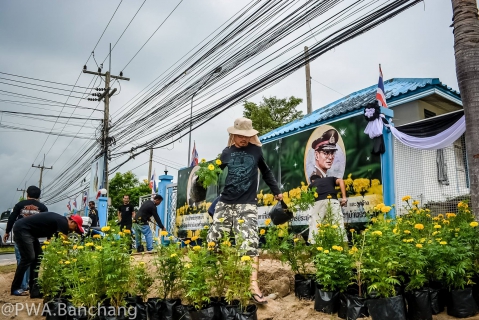ไฟล์แนบ สาขาบ้านฉาง ประดับดาวเรืองถวายความอาลัย ครบรอบวันสวรรคต