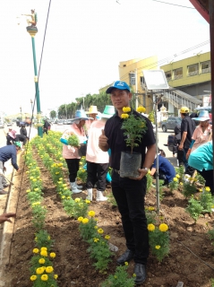 ไฟล์แนบ กปภ.สาขาสามพราน เข้าร่วมกับเทศบาลเมืองสามพราน ปลูกดอกดาวเรืองถวายแด่พ่อหลวง
