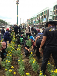 ไฟล์แนบ กปภ.สาขาสามพราน เข้าร่วมกับเทศบาลเมืองสามพราน ปลูกดอกดาวเรืองถวายแด่พ่อหลวง