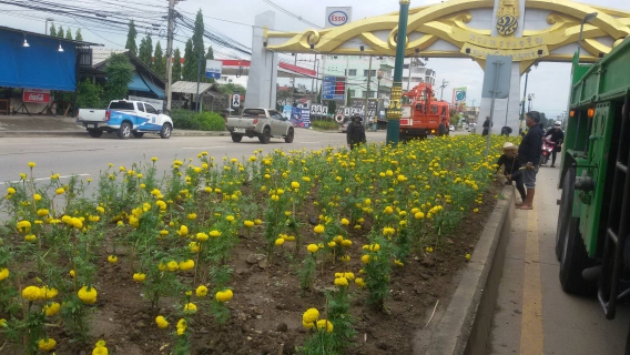 ไฟล์แนบ กปภ.สาขาสามพราน เข้าร่วมกับเทศบาลเมืองสามพราน ปลูกดอกดาวเรืองถวายแด่พ่อหลวง