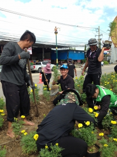 ไฟล์แนบ กปภ.สาขาสามพราน เข้าร่วมกับเทศบาลเมืองสามพราน ปลูกดอกดาวเรืองถวายแด่พ่อหลวง