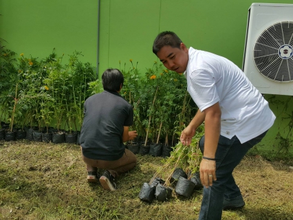 ไฟล์แนบ กปภ.สาขาสมุทรสงคราม มอบต้นดาวเรืองให้กับสำนักงานเกษตรจังหวัดสมุทรสงคราม เพื่อนำไปใช้ประดับรอบพระเมรุมาศจำลอง