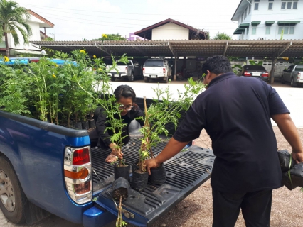 ไฟล์แนบ กปภ.สาขาสมุทรสงคราม มอบต้นดาวเรืองให้กับสำนักงานเกษตรจังหวัดสมุทรสงคราม เพื่อนำไปใช้ประดับรอบพระเมรุมาศจำลอง