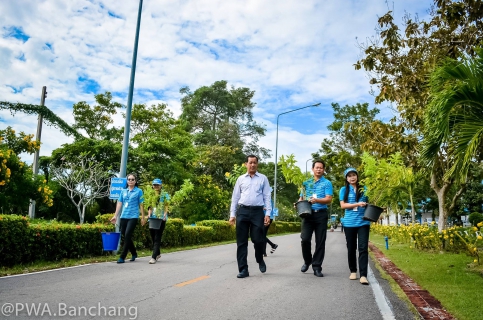 ไฟล์แนบ ประปาบ้านฉาง ร่วมใจปลูกต้นไม้บริณสำนักงาน เนื่องในวันรักต้นไม้ประจำปีของชาติ