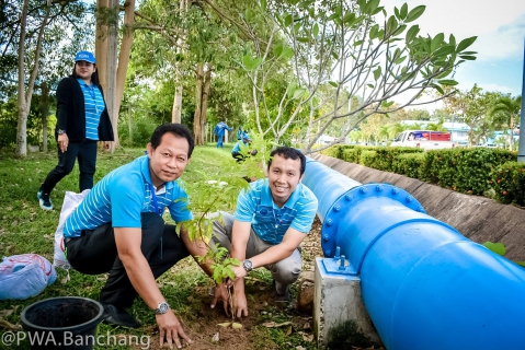 ไฟล์แนบ ประปาบ้านฉาง ร่วมใจปลูกต้นไม้บริณสำนักงาน เนื่องในวันรักต้นไม้ประจำปีของชาติ