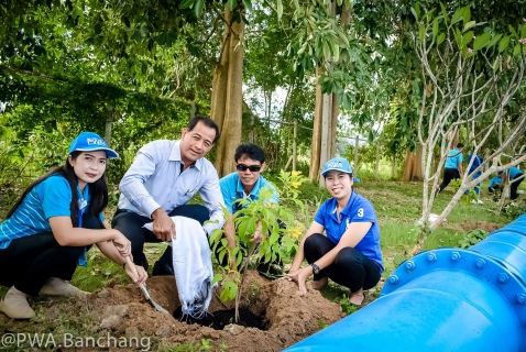 ไฟล์แนบ ประปาบ้านฉาง ร่วมใจปลูกต้นไม้บริณสำนักงาน เนื่องในวันรักต้นไม้ประจำปีของชาติ
