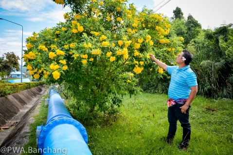 ไฟล์แนบ ประปาบ้านฉาง ร่วมใจปลูกต้นไม้บริณสำนักงาน เนื่องในวันรักต้นไม้ประจำปีของชาติ