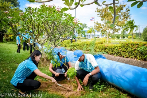 ไฟล์แนบ ประปาบ้านฉาง ร่วมใจปลูกต้นไม้บริณสำนักงาน เนื่องในวันรักต้นไม้ประจำปีของชาติ