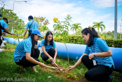 ไฟล์แนบ ประปาบ้านฉาง ร่วมใจปลูกต้นไม้บริณสำนักงาน เนื่องในวันรักต้นไม้ประจำปีของชาติ
