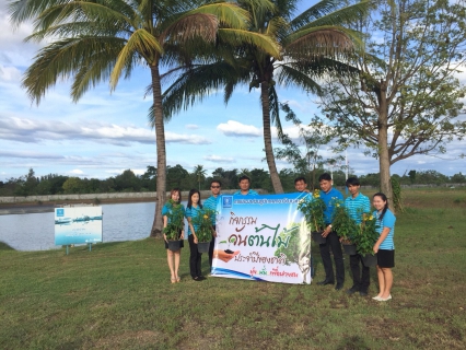 ไฟล์แนบ เมื่อวันพฤหัสบดีที่ 23 พฤศจิกายน 2560 การประปาส่วนภูมิภาคสาขาวัฒนานคร นำโดย นายพลวัฒน์ บุญสุทธิ ผจก.กปภ.สาขาวัฒนานคร พร้อมด้วยพนักงานและเจ้าหน้าที่ในสังกัด ร่วมกิจกรรมวันต้นไม้ประจำปีของชาติ โดยรอบบริเวณของสำนักงาน