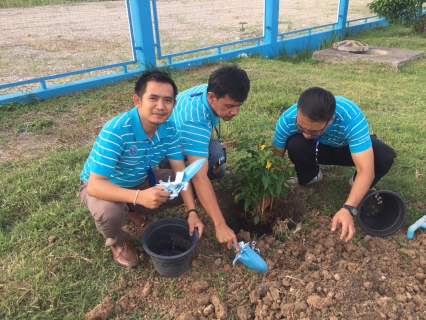 ไฟล์แนบ เมื่อวันพฤหัสบดีที่ 23 พฤศจิกายน 2560 การประปาส่วนภูมิภาคสาขาวัฒนานคร นำโดย นายพลวัฒน์ บุญสุทธิ ผจก.กปภ.สาขาวัฒนานคร พร้อมด้วยพนักงานและเจ้าหน้าที่ในสังกัด ร่วมกิจกรรมวันต้นไม้ประจำปีของชาติ โดยรอบบริเวณของสำนักงาน