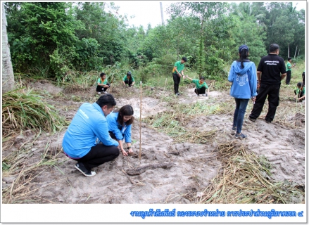 ไฟล์แนบ กปภ.ข.4 เข้าร่วมกิจกรรม โครงการปลูกสมุนไพรเพื่อพ่อหลวง
