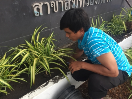 ไฟล์แนบ กปภ.สาขาสมุทรสงคราม จัดกิจกรรม Big Cleaning Day  และปรับภูมิทัศน์ภายในและภายนอกสำนักงานประปา