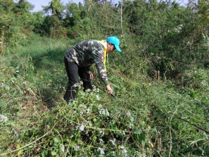 ไฟล์แนบ กปภ.สาขาธาตุพนมจัดกิจกรรม Big Cleaning Day ประจำเดือนธันวาคม ๒๕๖๐