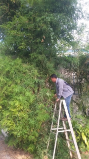 ไฟล์แนบ กปภ.สาขาเกาะคา จัดกิจกรรม Big Cleaning Day ครั้งที่ 2/2561 
