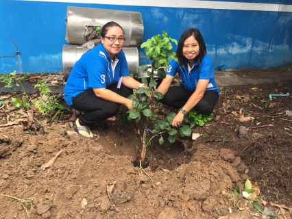 ไฟล์แนบ กปภ.สาขาสมุทรสงคราม จัดกิจกรรมปลูกต้นไม้เนื่องในวันต้นไม้ประจำปีของชาติ พ.ศ. 2561