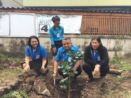 ไฟล์แนบ กปภ.สาขาสมุทรสงคราม จัดกิจกรรมปลูกต้นไม้เนื่องในวันต้นไม้ประจำปีของชาติ พ.ศ. 2561